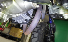 HONDA MONKEY 125 2022 JB03