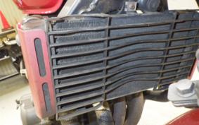 HONDA HORNET 250 MC31