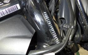 HARLEY RH975 2024