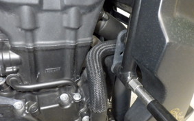 HONDA REBEL 250 A MC49