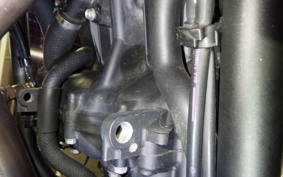 YAMAHA ﾃﾈﾚ700 2023