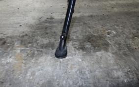 HONDA REBEL 250 A 2024 MC49