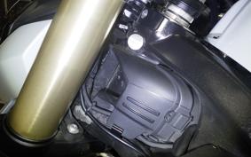 BMW S1000R 2022