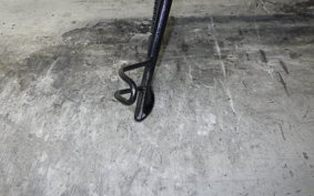 KAWASAKI W800 2024 EJ800E