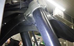 YAMAHA WR250X 2020 DG15J