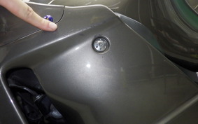 HONDA CBR1100XX 1999