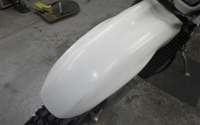 KAWASAKI SUPER SHERPA 2020 KL250G