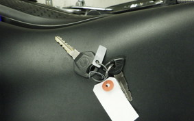 YAMAHA YZF-R25 RG43J