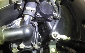 HONDA CBR1100XX 2001