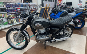 KAWASAKI W800 2024 EJ800E