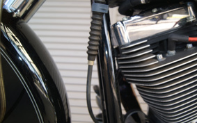 HARLEY FLSTC 2005 BJY
