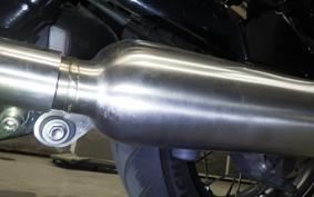 TRIUMPH BONNEVILLE T100 2024