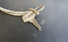 SUZUKI CELL PET 50 M30