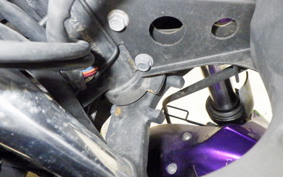 KAWASAKI NINJA 250R 2019 EX250K