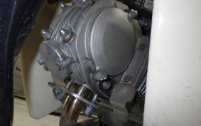 HONDA C110 SUPER CUB