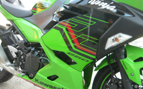 KAWASAKI Ninja 250 ABS EX250Y