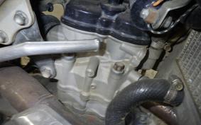 KAWASAKI KX250 F 2021 KX250Y