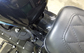HARLEY XL1200NS 2019
