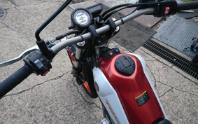YAMAHA TORITSU CAR DG16J