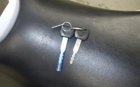 HONDA HORNET 250 MC31