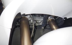 TRIUMPH DAYTONA 675 2010