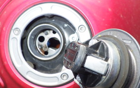 YAMAHA YZF-R25 RG43J