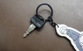 HONDA LITTLE CUB 2022 AA01