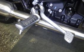 TRIUMPH BONNEVILLE T100 2023