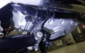 KAWASAKI W800 2025 EJ800E