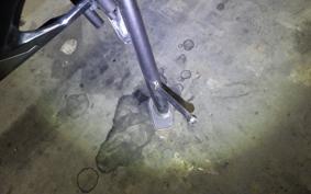 HONDA CBR250RR A 2024 MC51