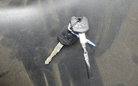 KAWASAKI NINJA 250 SL BX250A