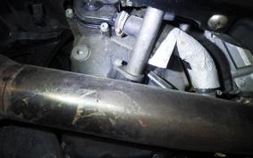 YAMAHA MAXAM 250 2021 SG17J