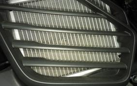 YAMAHA CYGNUSｸﾞﾘﾌｧｽ SEJ4J