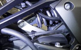 KAWASAKI NINJA 1000SX 2021 ZXT02K