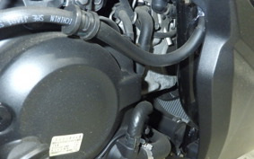 HONDA FORZA 250 2014 MF13