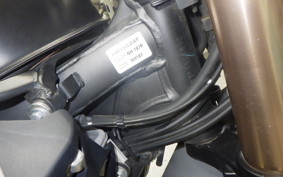 HONDA CRF250L 2020 MD47