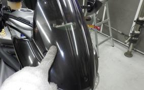 TRIUMPH STREET TRIPLE R 2010