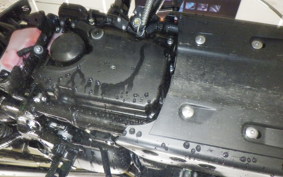 TRIUMPH SCRAMBLER 900 2025