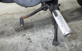 HONDA GORILLA 2021 Z50J