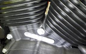 HARLEY XL883N 2021
