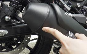 OTHER +ENFIELD HUNTER350 2025