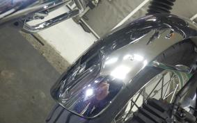 KAWASAKI W800 2022 EJ800E