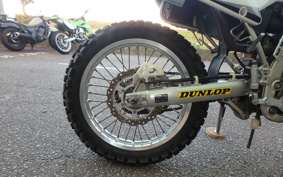 KAWASAKI KLX250 LX250S