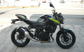 KAWASAKI Z250 EX250P