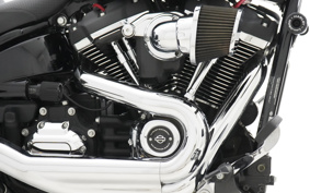 HARLEY HARLEY FLSB 2020 YMJ