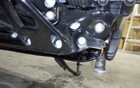 HARLEY FXLRST1920 2024