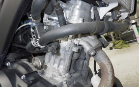 YAMAHA XSR155 2019