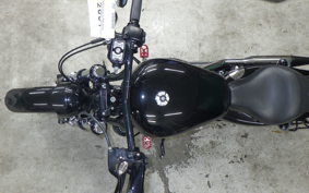 HARLEY XL1200XS 2020