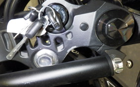 YAMAHA YZF-R3 2024 RH21J