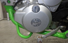 KAWASAKI KLX250 Gen.2 2023 LX250S